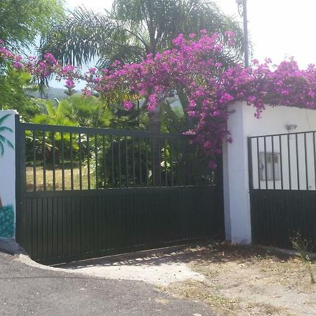 Finca Las Palmeras Icod De Los Vinos Exterior foto