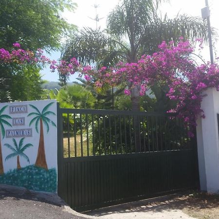 Finca Las Palmeras Icod De Los Vinos Exterior foto