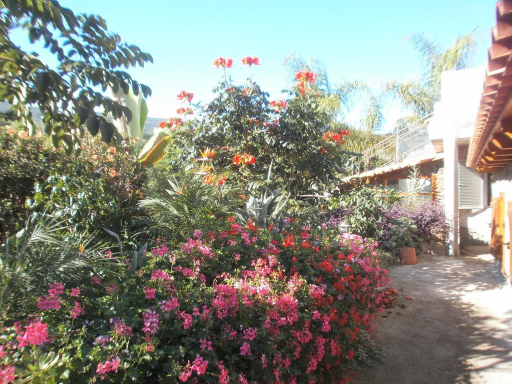 Finca Las Palmeras Icod De Los Vinos Quarto foto