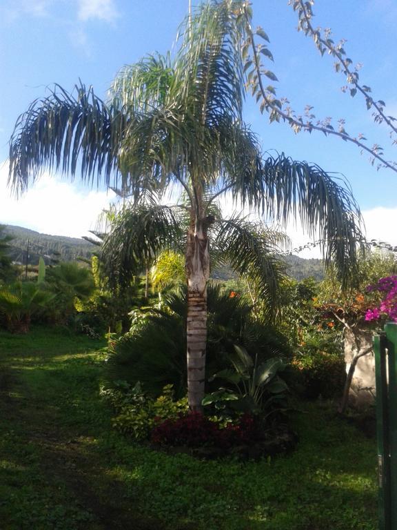 Finca Las Palmeras Icod De Los Vinos Quarto foto