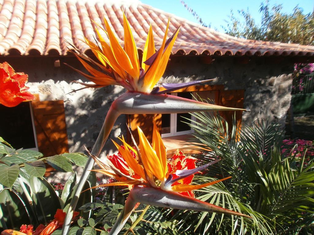 Finca Las Palmeras Icod De Los Vinos Exterior foto