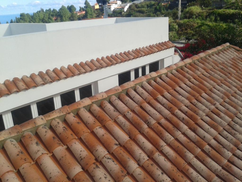 Finca Las Palmeras Icod De Los Vinos Quarto foto