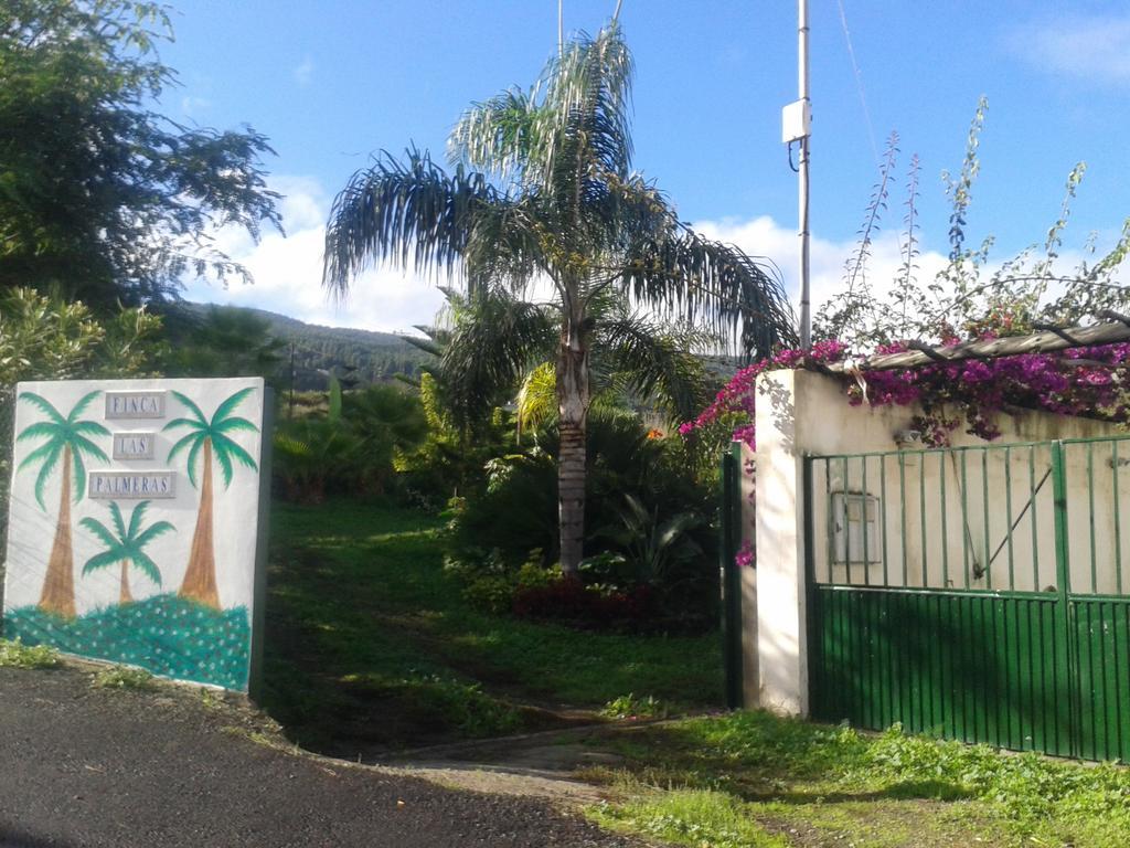 Finca Las Palmeras Icod De Los Vinos Exterior foto