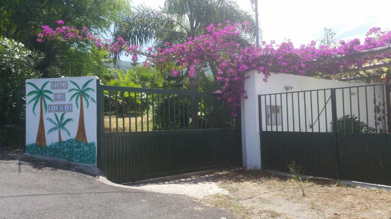 Finca Las Palmeras Icod De Los Vinos Exterior foto