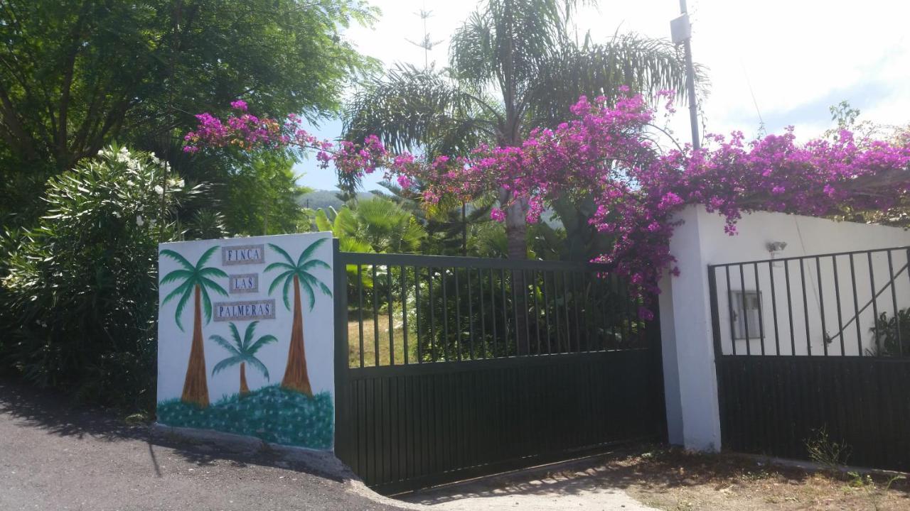 Finca Las Palmeras Icod De Los Vinos Exterior foto